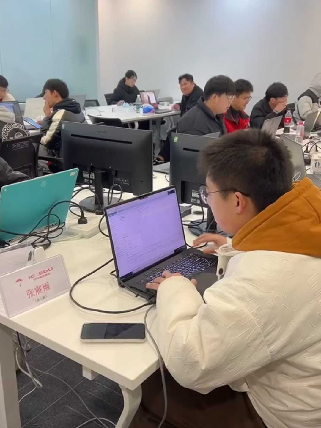 代码与芯片共舞,青春与梦想齐飞——成电国芯项目实战争霸赛PK纪实 - 第3张